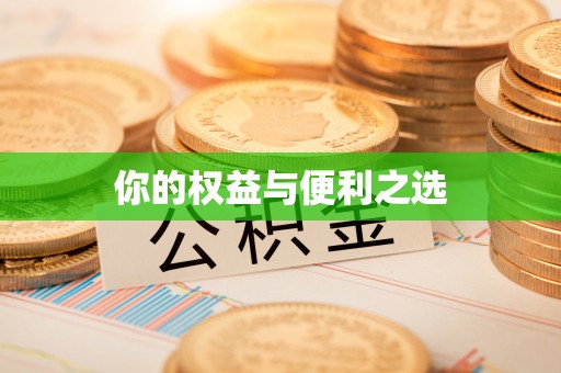 通道你的权益与便利之选