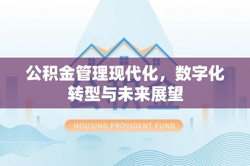 通道公积金管理现代化，数字化转型与未来展望