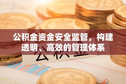 通道公积金资金安全监管，构建透明、高效的管理体系