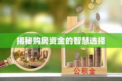 通道揭秘购房资金的智慧选择