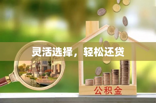 通道灵活选择，轻松还贷
