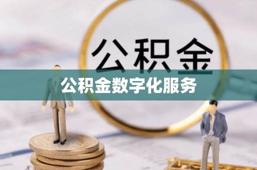 通道公积金数字化服务