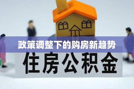 通道政策调整下的购房新趋势