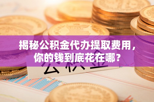 通道揭秘公积金代办提取费用，你的钱到底花在哪？