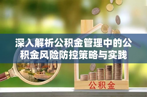 通道深入解析公积金管理中的公积金风险防控策略与实践
