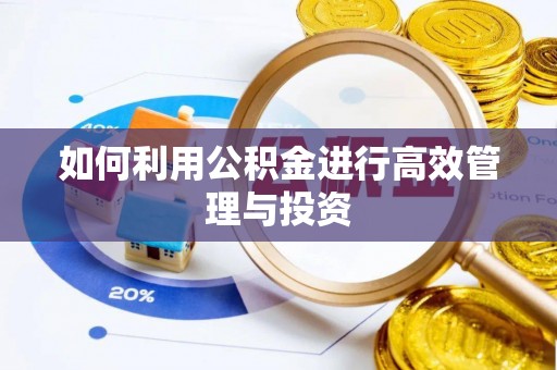 通道如何利用公积金进行高效管理与投资